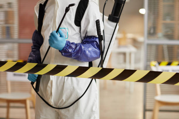 Professional Sewage Cleanup technician working in Paris, AR
